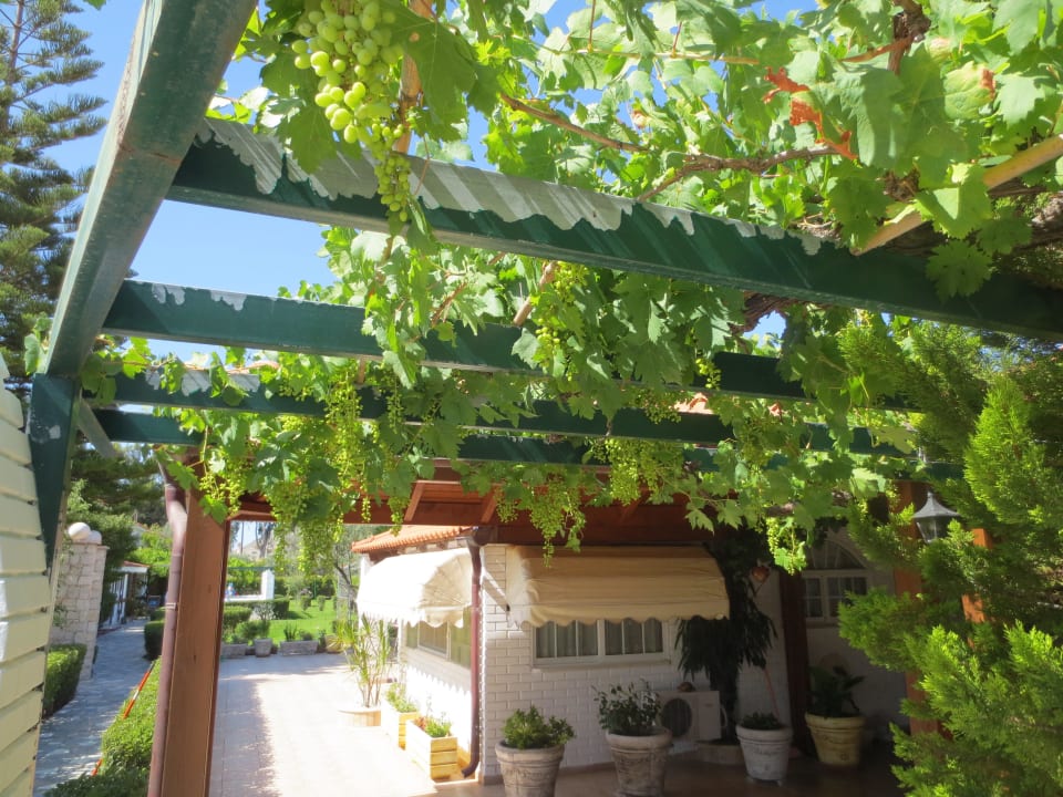 Hotel Elefteria Elefteria Apts & Suites