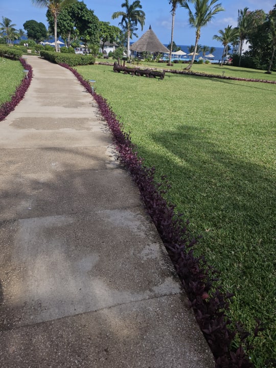 Gartenanlage Royal Zanzibar Beach Resort