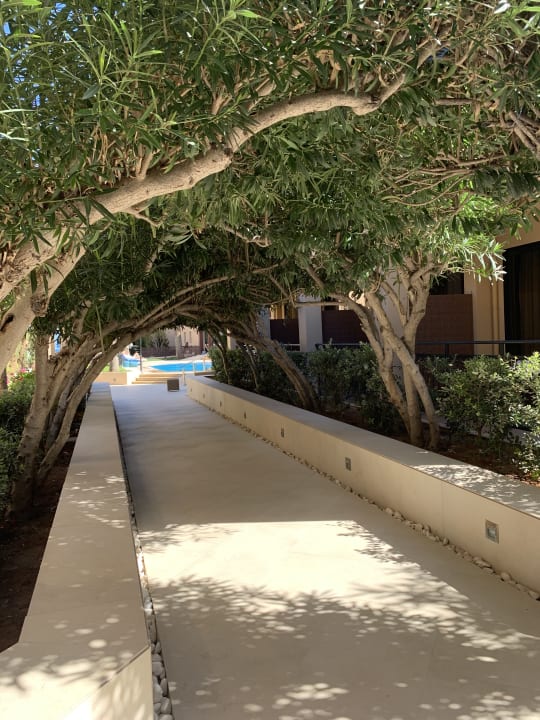 Gartenanlage Hotel Atlantis Beach