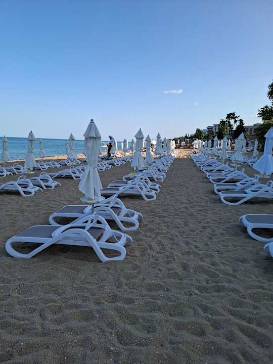 Strand Sentido Marea