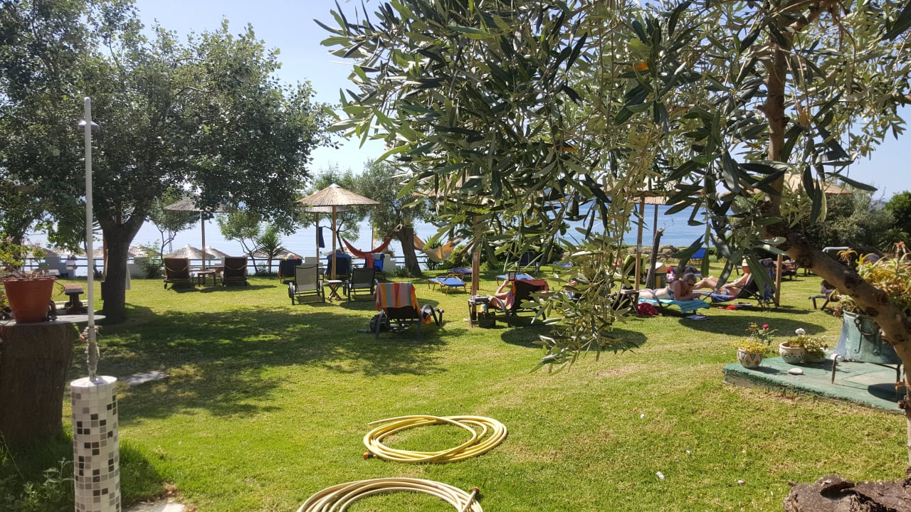 Garten Hotel Angeliki Beach