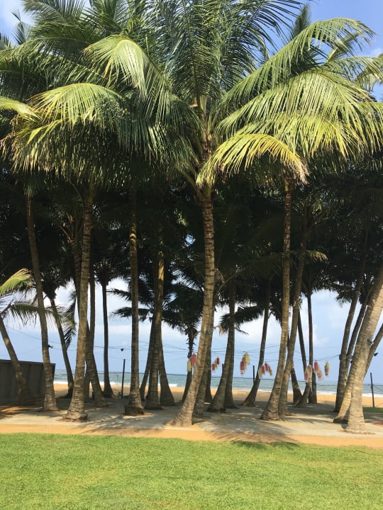 Strand Mermaid Hotel & Club