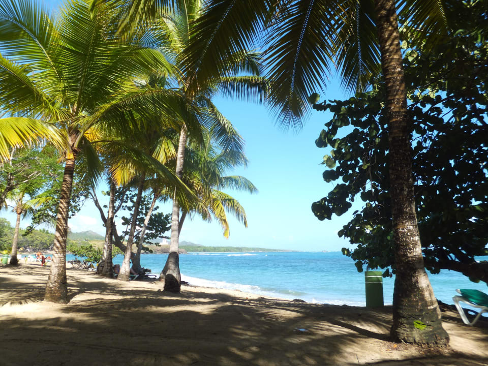 Strand Playabachata Hotel