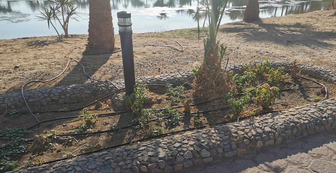 Gartenanlage Pharaoh Azur Resort