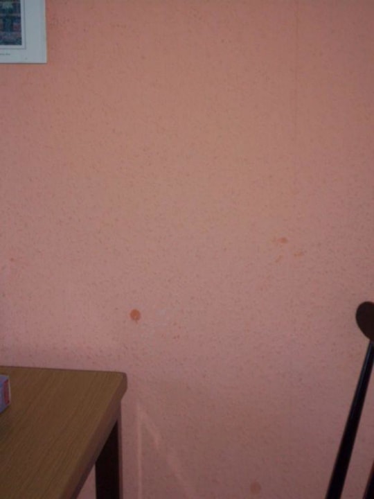 Flecken an der Küchenwand Haus Marinus