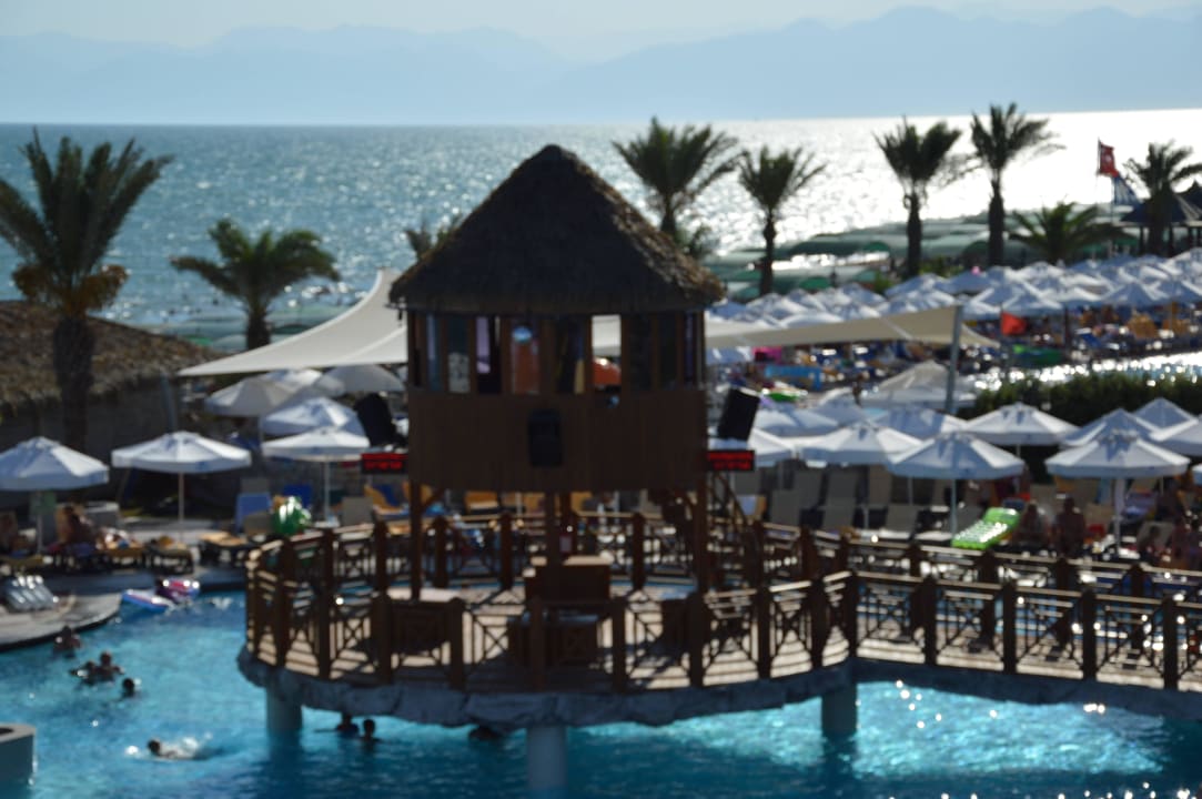 Pool Papillon Belvil