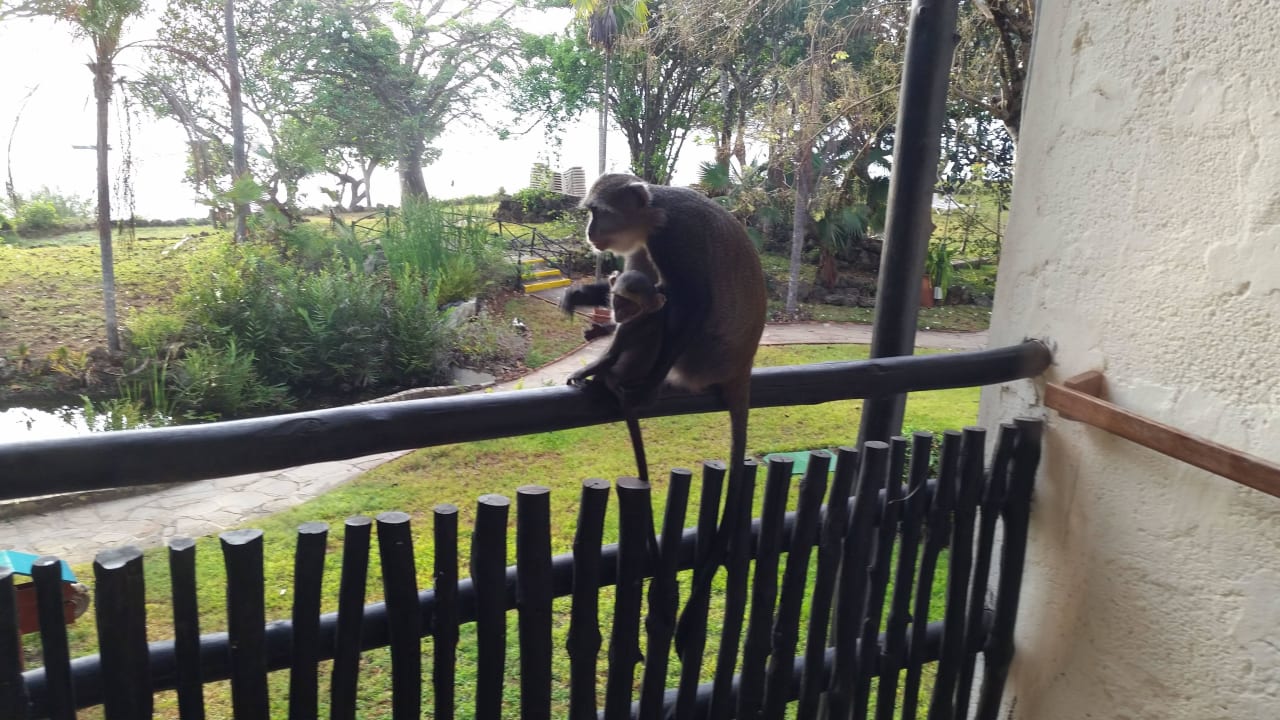 Hotel Baobab Beach Resort Baobab Beach Resort & Spa