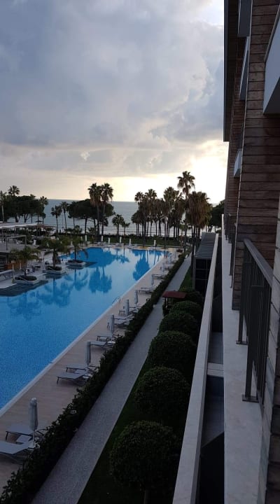 Pool Acanthus Cennet Barut Collection