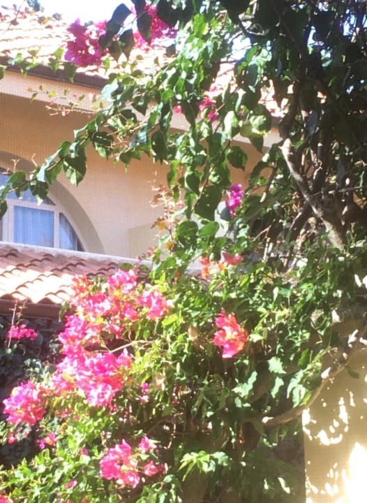 Zimmer TUI MAGIC LIFE Calabria