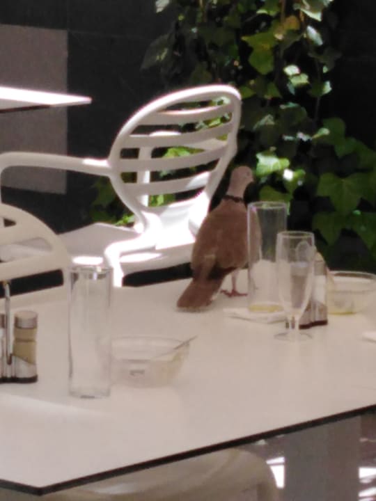 Gastro LABRANDA Marieta - Adults only