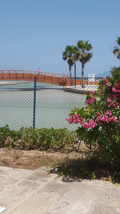 Ausblick aufs Meer allsun App.-Hotel Orquidea Playa