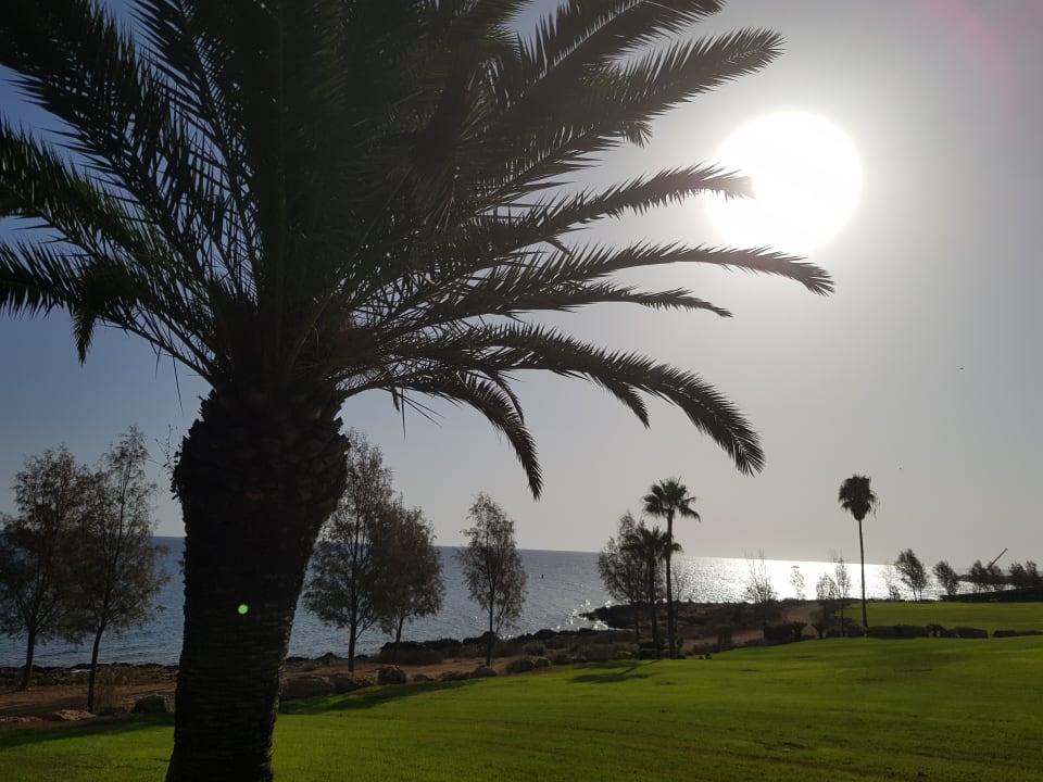 Gartenanlage Crystal Springs Beach Hotel