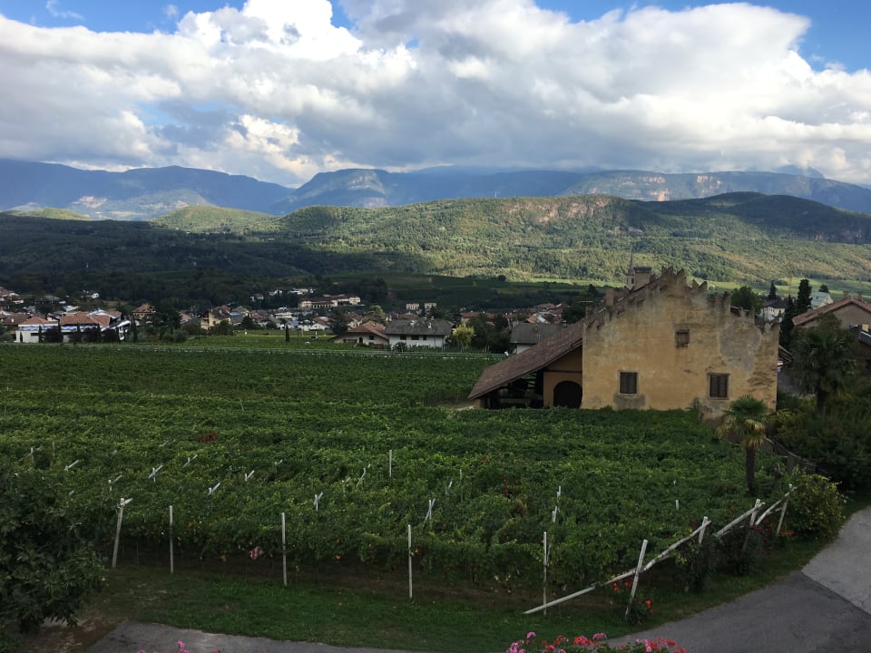 Ausblick Apartments Weingut Oberpreyhof