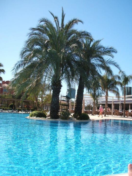 Pool Side Star Elegance