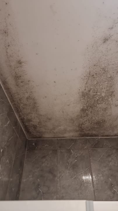 Zimmer Walton Nisantasi Residence