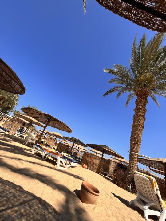 Strand Fort Arabesque Resort, Spa & Villas