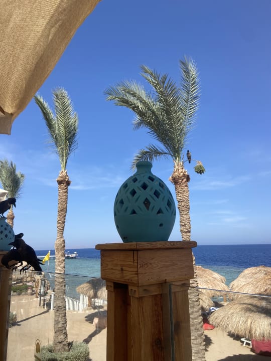 Gastro SUNRISE Diamond Beach Resort - Grand Select