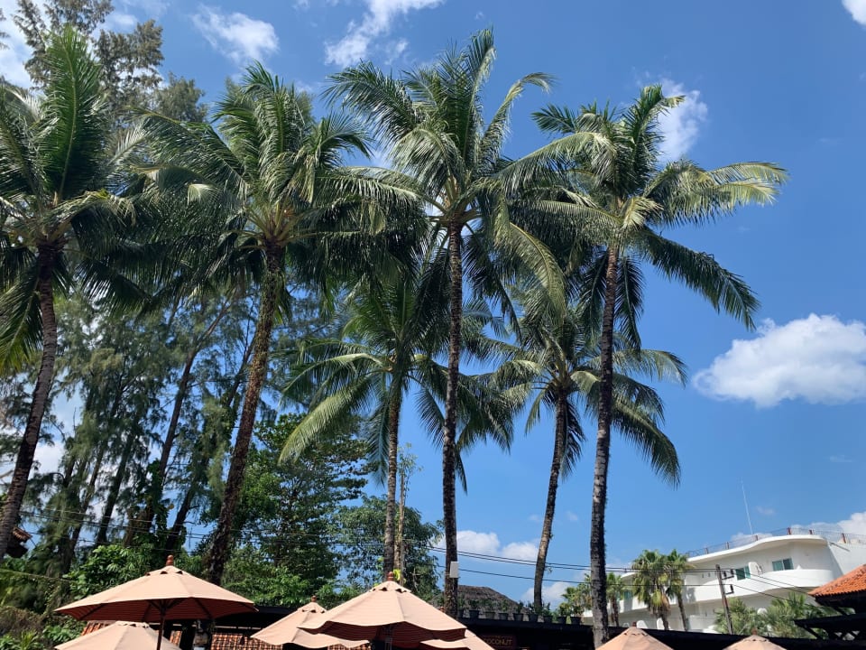 Ausblick Khaolak Oriental Resort - Adults only