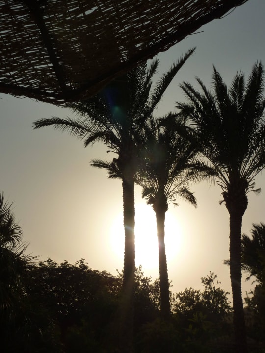 Sonnenuntergang Grand Makadi