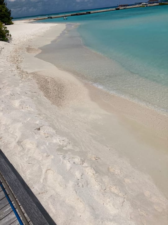 Strand Summer Island Maldives