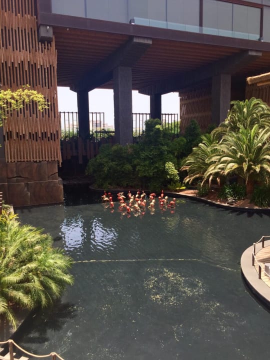 Gartenanlage Lopesan Baobab Resort