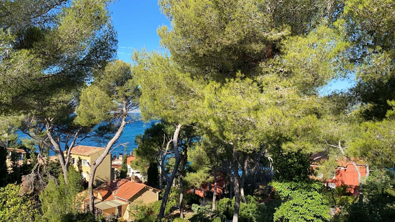 Ausblick Hapimag Resort La Madrague
