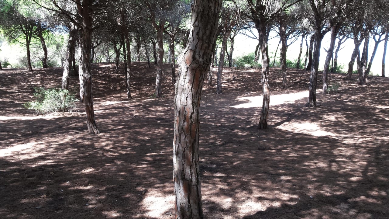 Sonstiges Hotel Playa de la Luz