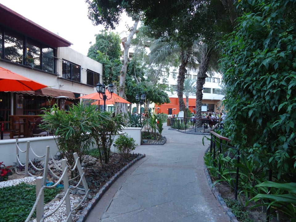 Gartenanlage Le Meridien Abu Dhabi Resort