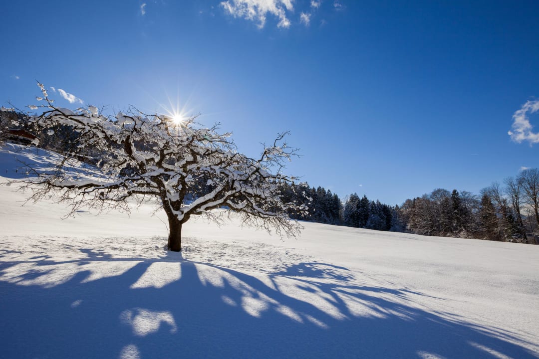 Ausblick Gästehaus Pfnürlehen