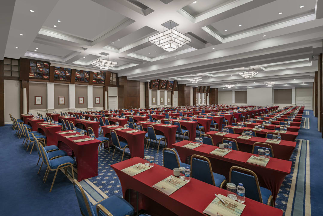 Sonstiges Papillon Ayscha