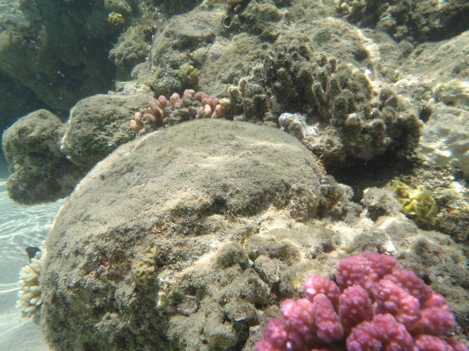 Riff Premier Le Reve Hotel & Spa