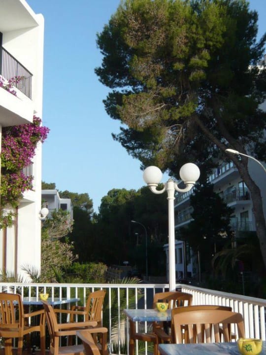 Schöne Aussicht von der Terrasse Hotel Osiris