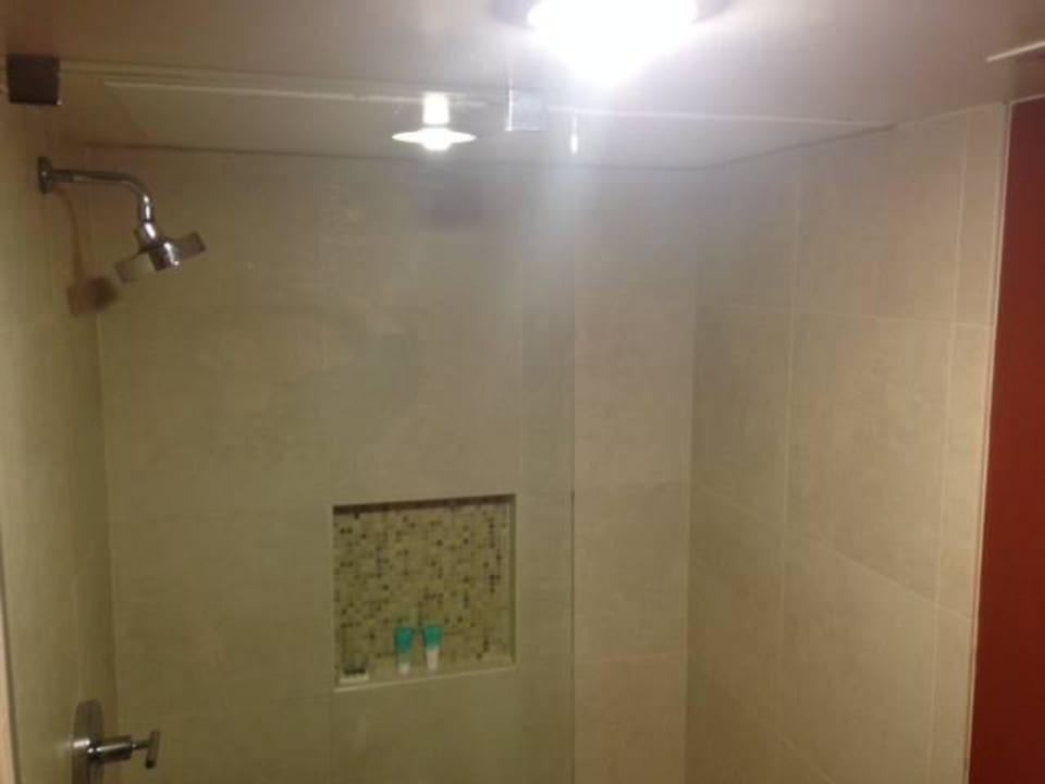 Shower (no closure - it leaks on floor) Hyatt Regency DFW International Airport