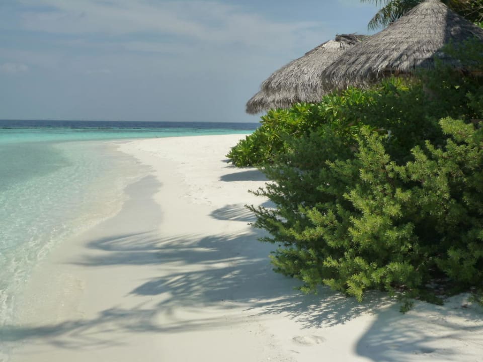 Strandansicht  Baros Maldives Resort