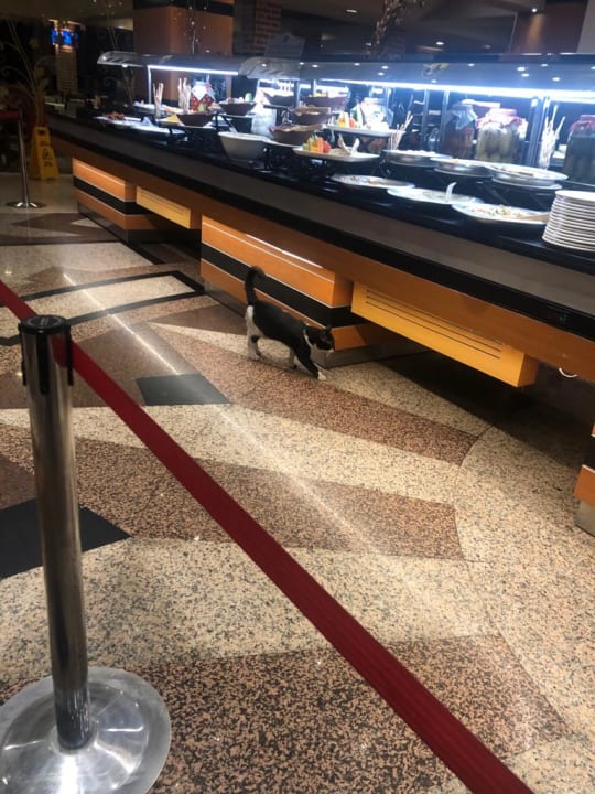 Gastro Limak Limra Hotel & Resort