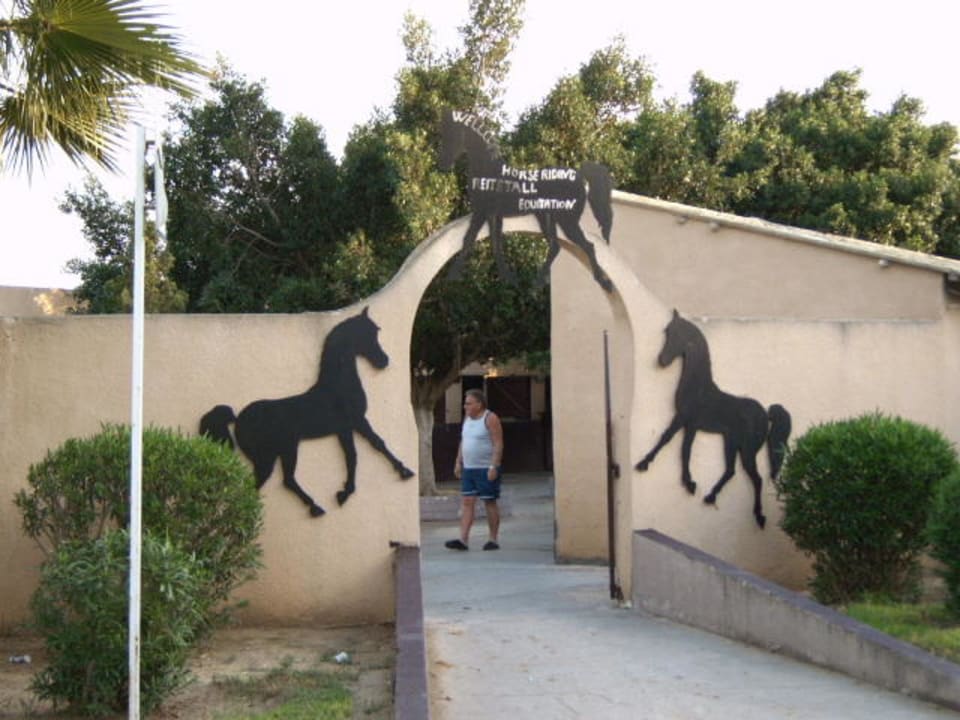 Reitstall Sahara Beach Aquapark & Resort