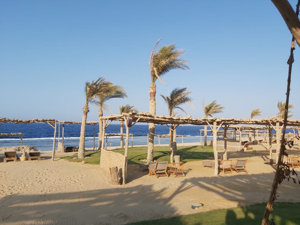 Strand Steigenberger Resort Alaya Marsa Alam - Red Sea - Adults only