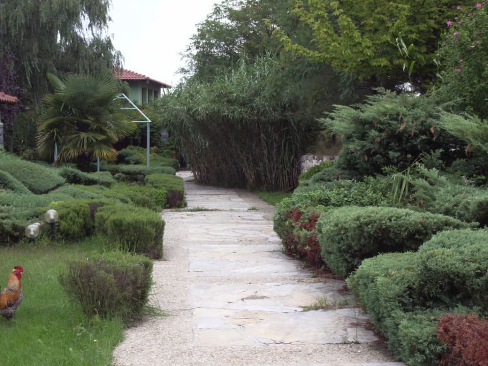 Дорожки вдоль здания отеля Hotel Durusu Park Otel