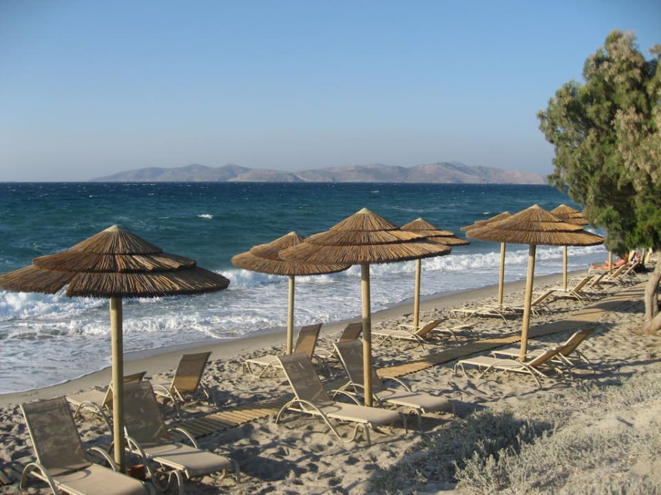 Hotel-Strand TUI BLUE Palazzo del Mare