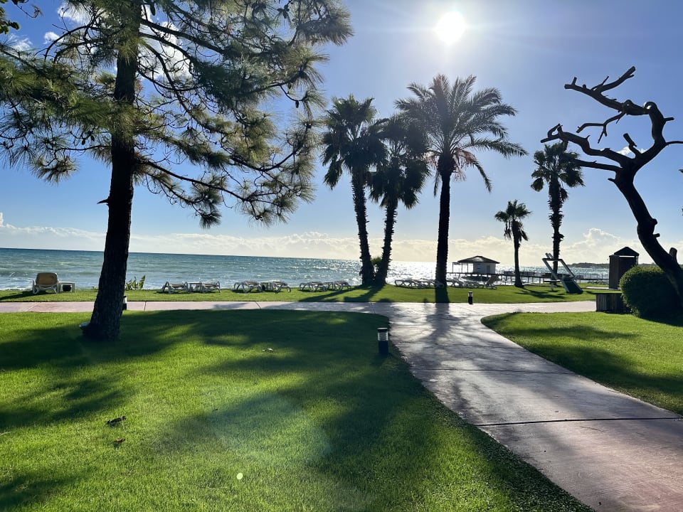 Gartenanlage TUI MAGIC LIFE Beldibi +16