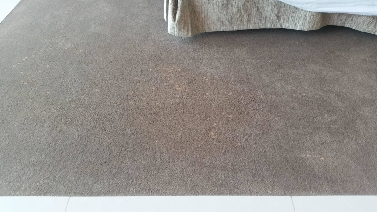 Hunderte Flecken im Zimmer Vidamar Hotel Resort Algarve