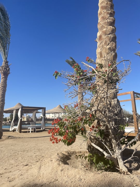 Strand Calimera Blend Paradise