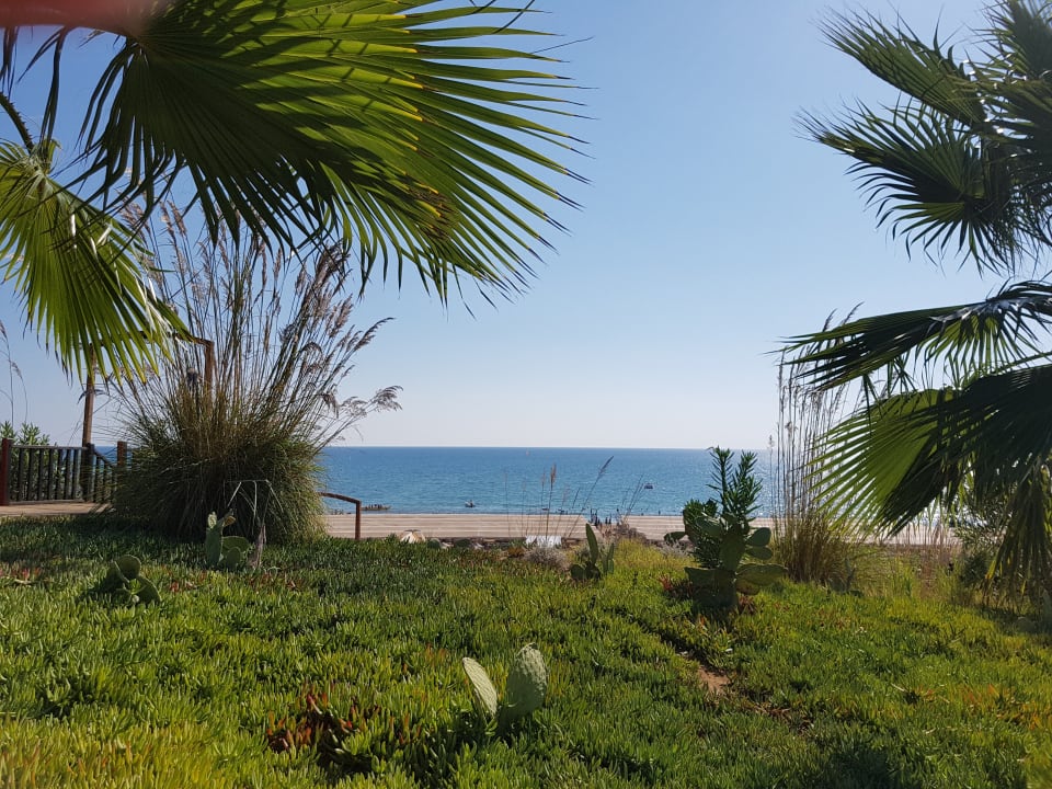 Gartenanlage TUI MAGIC LIFE Jacaranda