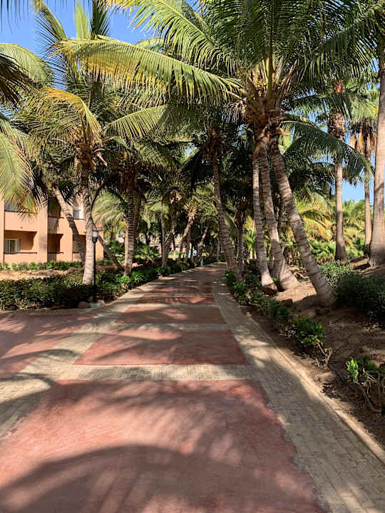 Gartenanlage Hotel Riu Cabo Verde