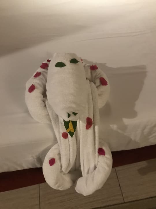 Zimmer Jaz Makadi Oasis Resort