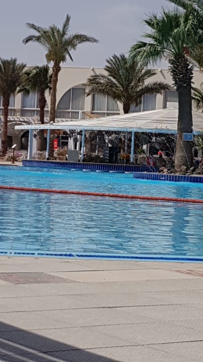 Pool Swim Up Bar Desert Rose