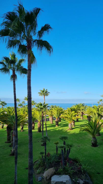 Gartenanlage Hotel Riu Palace Tenerife