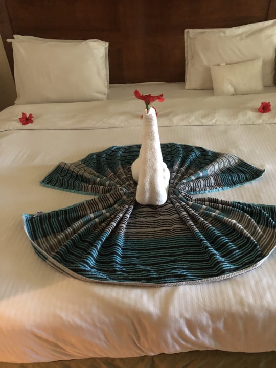 Zimmer Ghazala Gardens