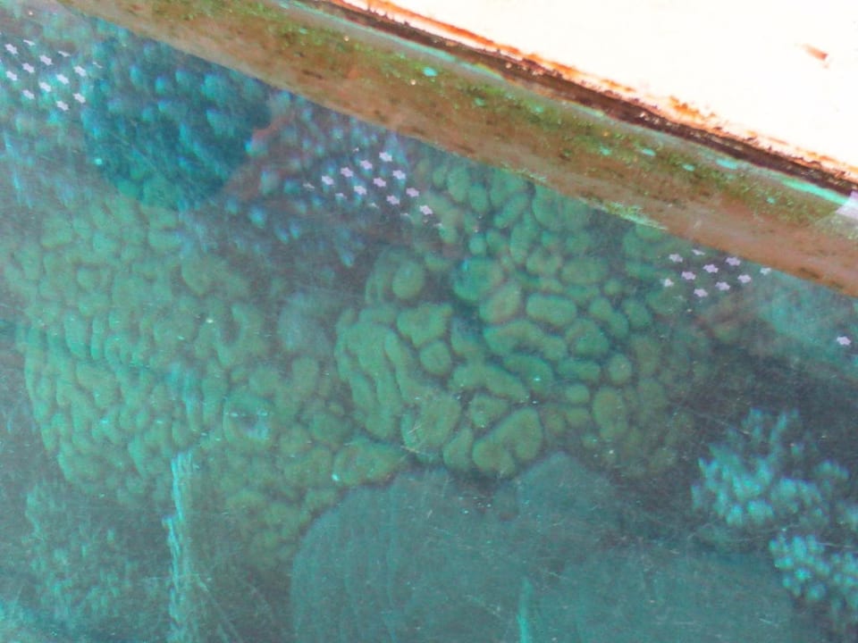 Unterwasser Hotel Falcon Hills