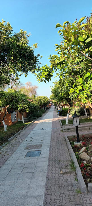 Gartenanlage Özlem Garden Hotel